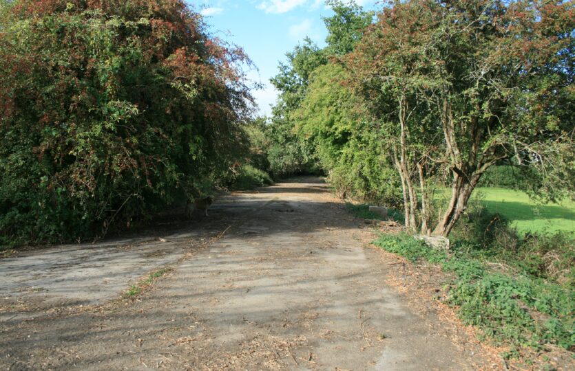 canadian-road2-835×540-1