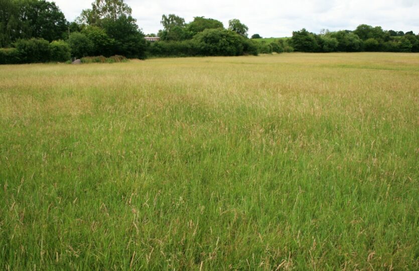field-1.SMALL_-835×540-1