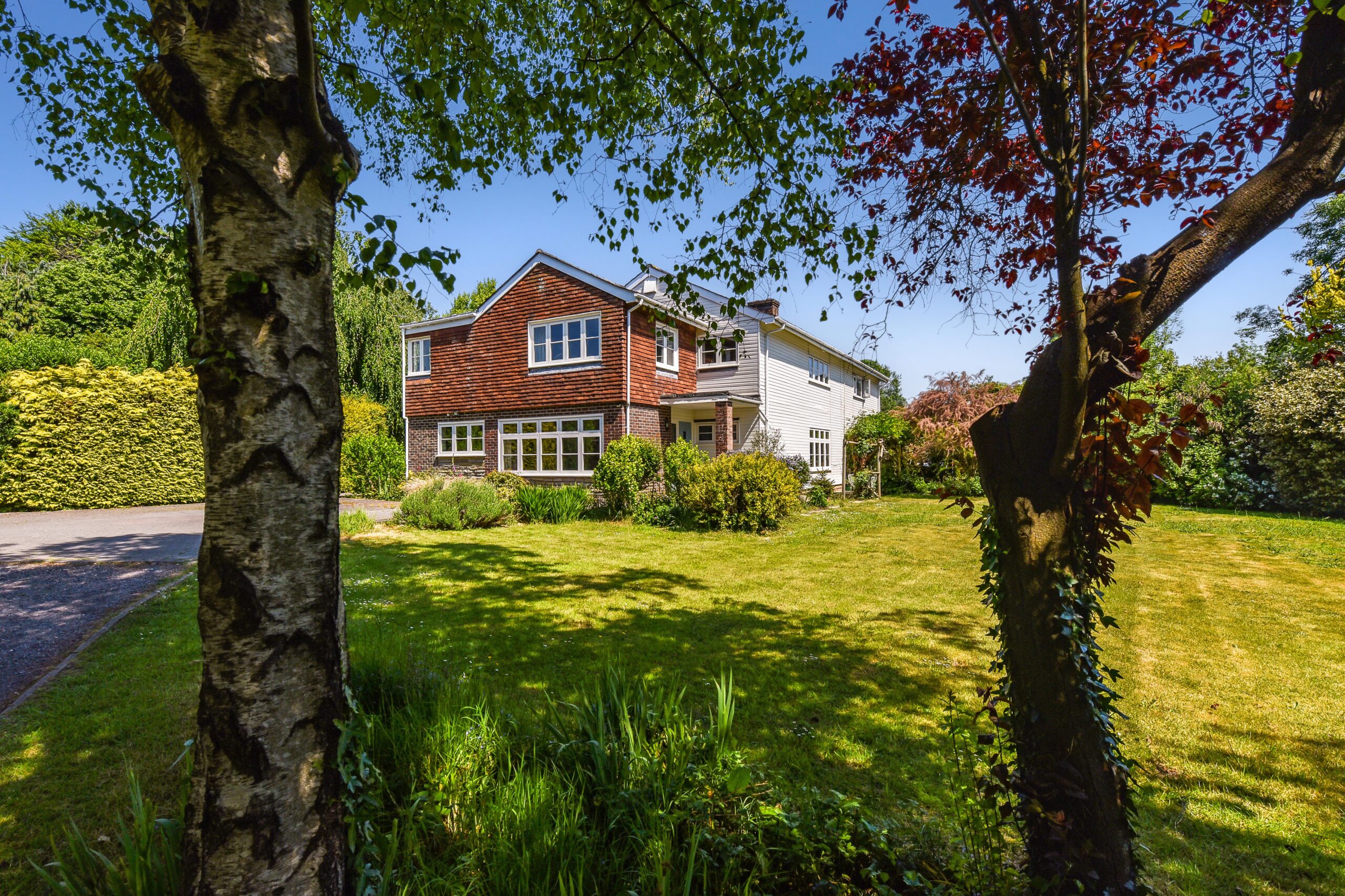 sketch_Ph35_5948830-1