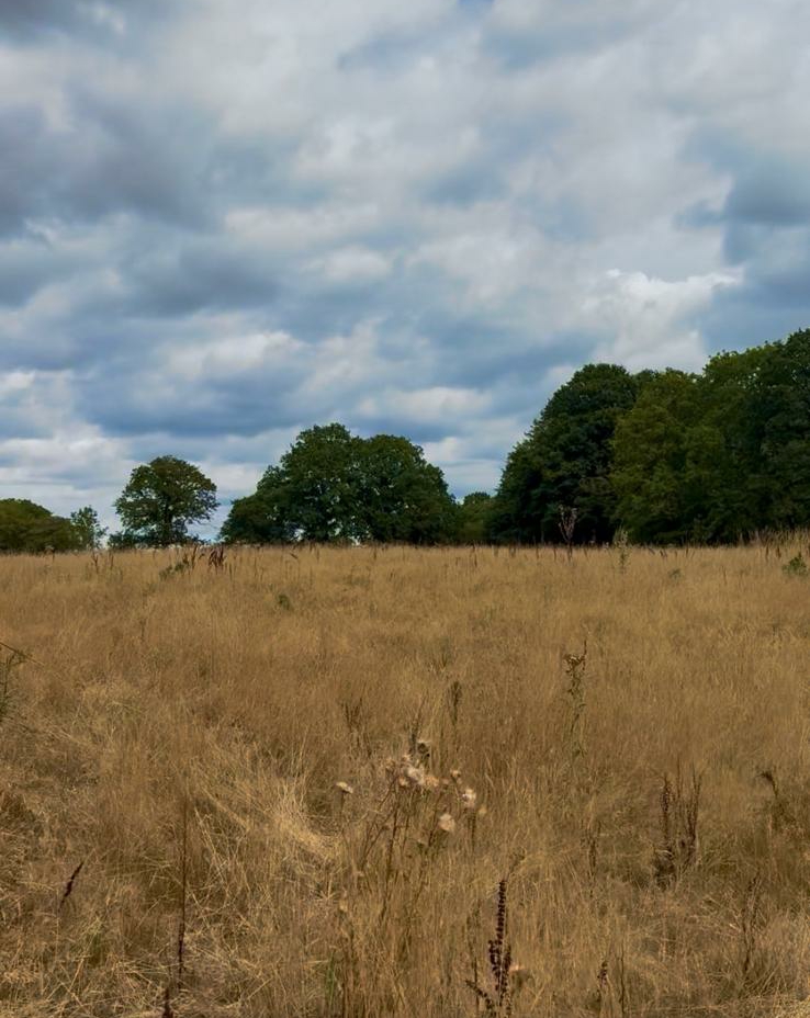 pic-3
